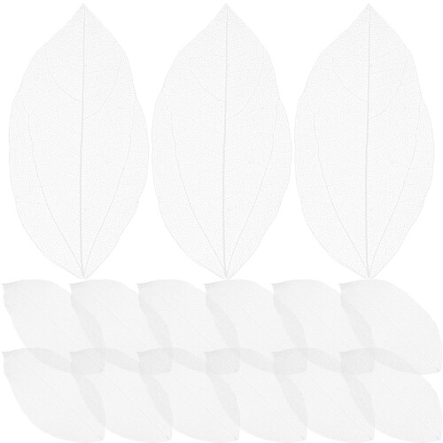 36pcs dried pressed skeleton leaves