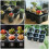 4 Pcs Plastic Succulents Planter Pots Cactus Tray 11