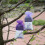 20St Leere Beutel Mit Blumenmuster Lavendelbeutel Dunkelviolett 10