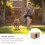 ceramic portable seasoning jar 10