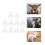 10pcs silicone lamb feeding nipples for milk bottles 6