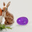 60pcs Fillable Plastic Easter Eggs Realistic Faux Design Easy Open 4