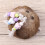 Coconut Shell Swing Toy with Rope & Bead Chain 10