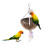 Coconut Shell Swing Toy with Rope & Bead Chain 5