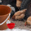 1 Set Automatic Chicken Water Feeder for Chicks Ducks Poultry 4