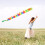 Chinese Dragon Ribbon Outdoor Exercise Performance 3