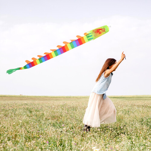 Chinese Dragon Ribbon Outdoor Exercise Performance 2