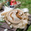handmade rattan basket for fermentation and bread making 10