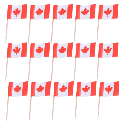 150pcs double-sided canada flag toothpicks for cupcakes cheese fruit
