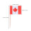 150pcs double-sided canada flag toothpicks for cupcakes cheese fruit 3