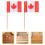 150pcs double-sided canada flag toothpicks for cupcakes cheese fruit 11