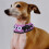 Halloween Cat Collar Scarf: Adjustable 9-14cm Pet Bib, Soft 6
