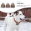 6 pcs copper sheep and cattle bells, wind chime pendants, diy use 10