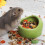 1Pièces En Céramique Vert Pour Hamster Petits Pets Résistant 6