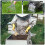 4pcs transparent plastic beekeeping clips for cage 9
