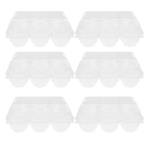 6pcs Egg Carton Multi-Slot Packaging Container for Goose Eggs