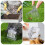 4pcs transparent plastic beekeeping clips for cage 10