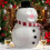 Talking Animated Blink Snowman an animated blinking Snowman 1