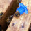 100pcs bee breeding cups with american bases for beekeeping blue 11