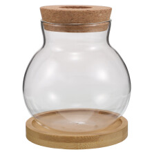 glass propagation station with bamboo tray for home office decor