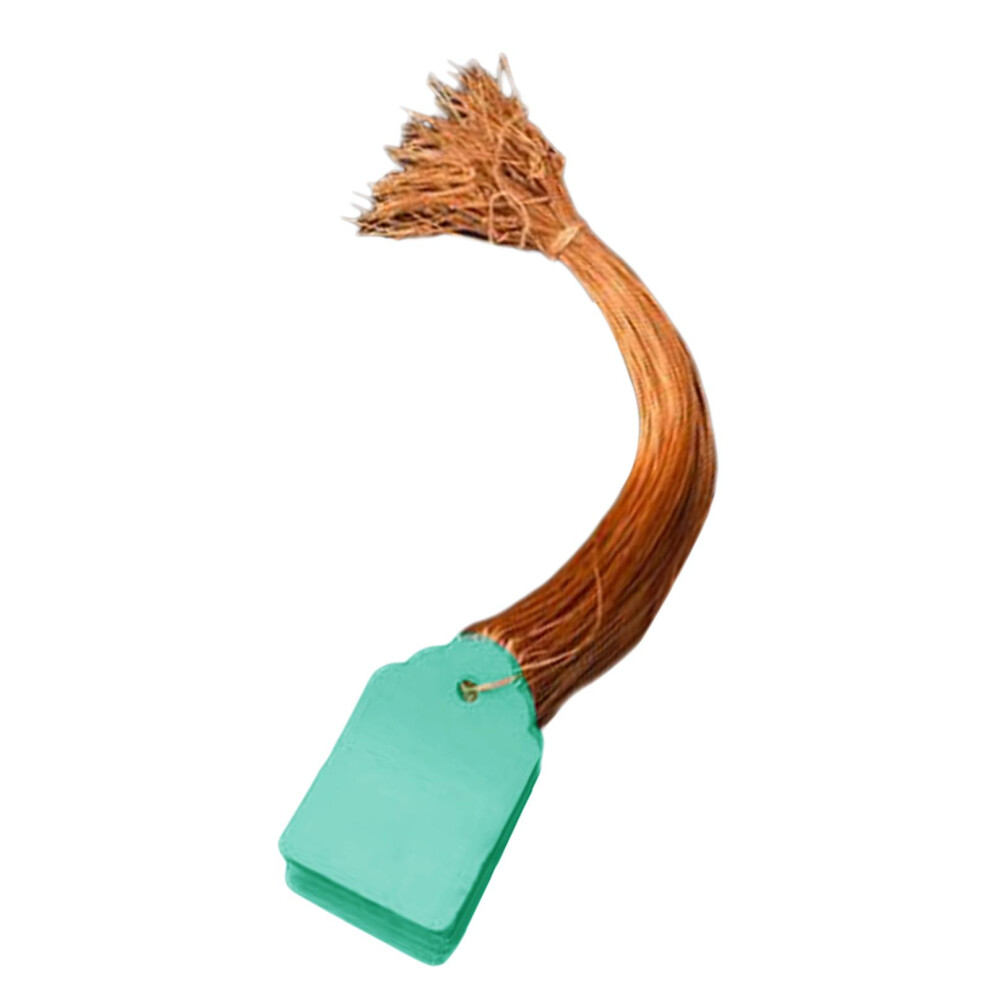 (Green, 35x25cm) 100pcs Plant Hanging Tags Waterproof Labels Reusable Set Of 50 Tags-image-OPC-PKPKSNB-NEW