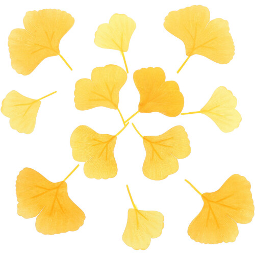 300 pcs simulation ginkgo leaves for wedding decor 2