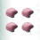 4pcs Ceramic Shell Knobs Sea Style Pull Handles for Cabinet Drawer 2