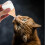 Kitten Nursing Bottle for Puppy Milk Feeding 11