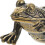3pcs Brass Frog Figurine Tea Pet for Home Decor 8