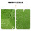 6pcs pvc monstera table mats tropical leaf placemats 9