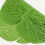6pcs pvc monstera table mats tropical leaf placemats 11