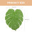 6pcs pvc monstera table mats tropical leaf placemats 3