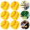 8pcs Practice Baseballs Training Softballs Sports Balls 10