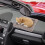 Dashboard Decorations Women Realistic Dog Figurine Multi 1set 5