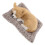 Dashboard Decorations Women Realistic Dog Figurine Multi 1set 1
