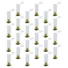 30Pcs Plastic Bee Keeper Cage with Mesh Ventilation for Bee Breeding