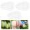 3 pcs melon shaping molds for growing ginseng fruit and vegetables 8