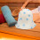chapéu de para sauna, confortável e absorvente 7