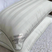 (2 Pack) Hotel Quality Egyptian Cotton Broad Stripe Luxury Zipped Piping Bed Pillows - Soft Support, Bounce Back Hollowfiber Pillows, Pack of 2/4/6