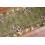 Läufer BCF TRIO grün 60 cm 60x340 cm 6