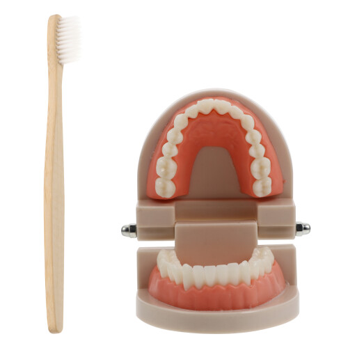 set bambino per studio e insegnamento orale