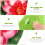 5Pcs 10Cm Artificial Lotus Water Lily Floating Pond Plants 6