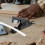 5 stuks slangknipper voor leidingen 8