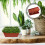 6er-pack kunststoff- , pflanzkorb für garten und 11