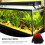 1 Simulation - , Aquarienlandschaft mit 11