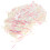 presente transparente silk com iridescente 20 g 10