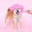 colar para e cachorro com pingente de e s rosa 8