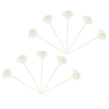10 natürliche rattan diffusorstäbchen für duftöl blumenduft