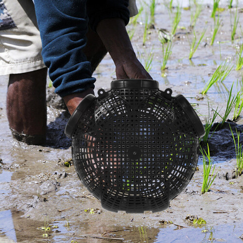 ricefield aal-fangnetz krabbenfalle hummerköderfalle 2