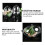 high transparent flat bottom egg-shaped plastic storage box 10